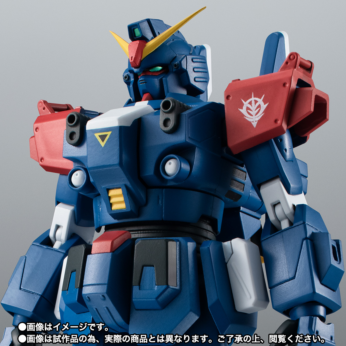 ROBOT魂 <SIDE MS> RX-79BD-2 ブルーディスティニー2号機 ver. A.N.I.M.E.