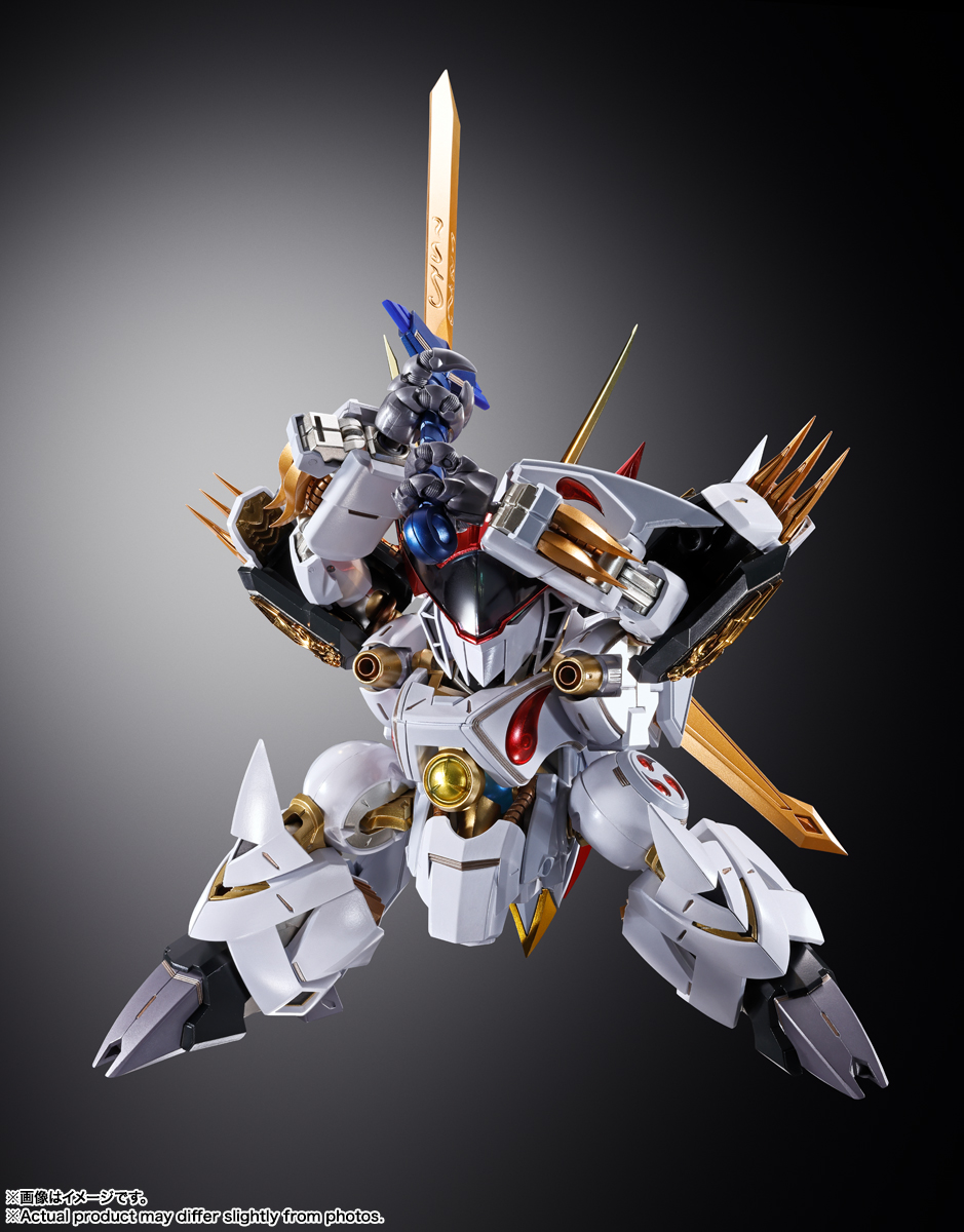METAL BUILD DRAGON SCALE 龍王丸