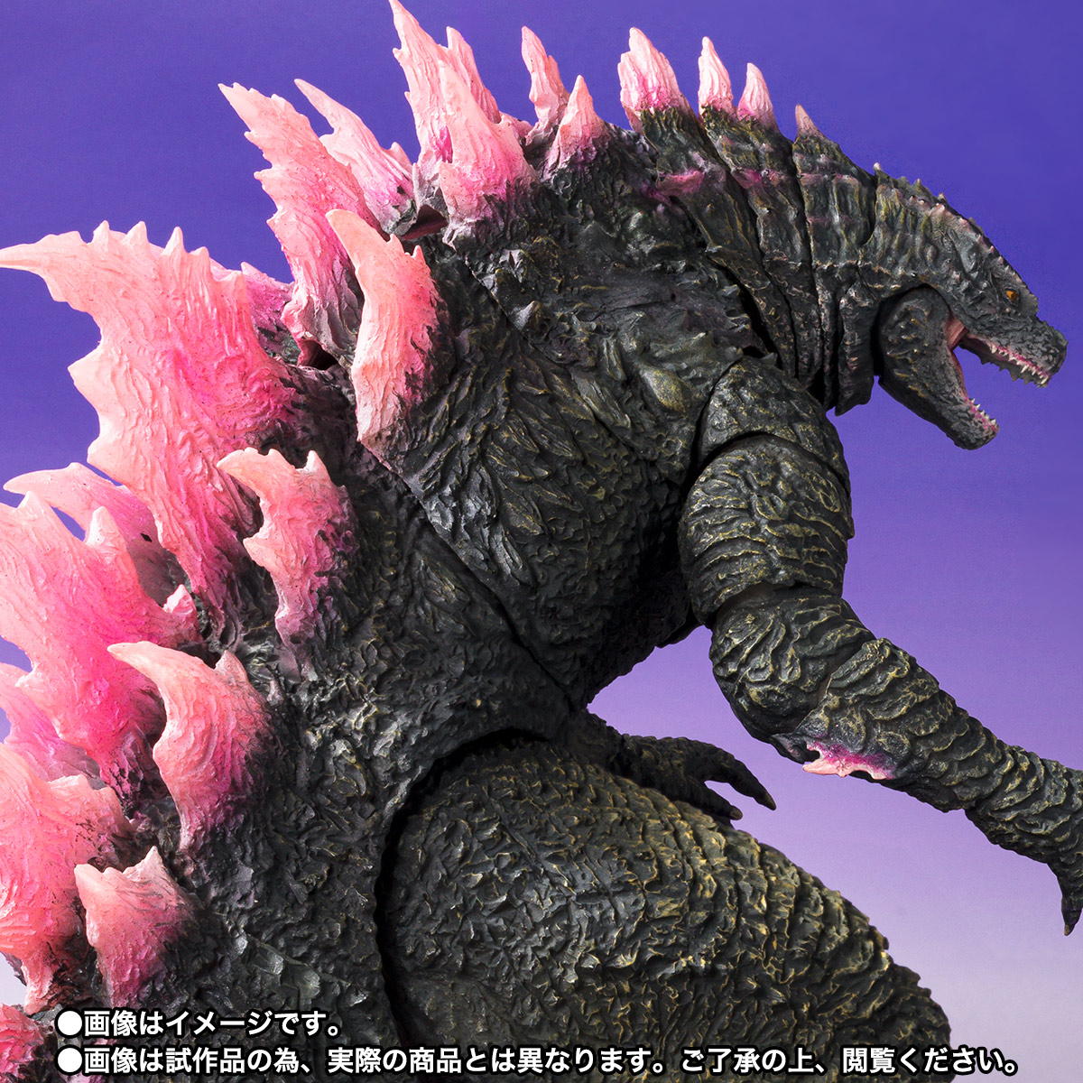 S.H.MonsterArts&nbsp;GODZILLA (2024) EVOLVED Ver. FROM GODZILLA × KONG: THE NEW EMPIRE
