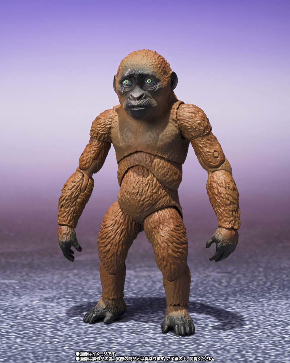 S.H.MonsterArts&nbsp;SUKO & MOTHRA (2024) FROM GODZILLA × KONG: THE NEW EMPIRE