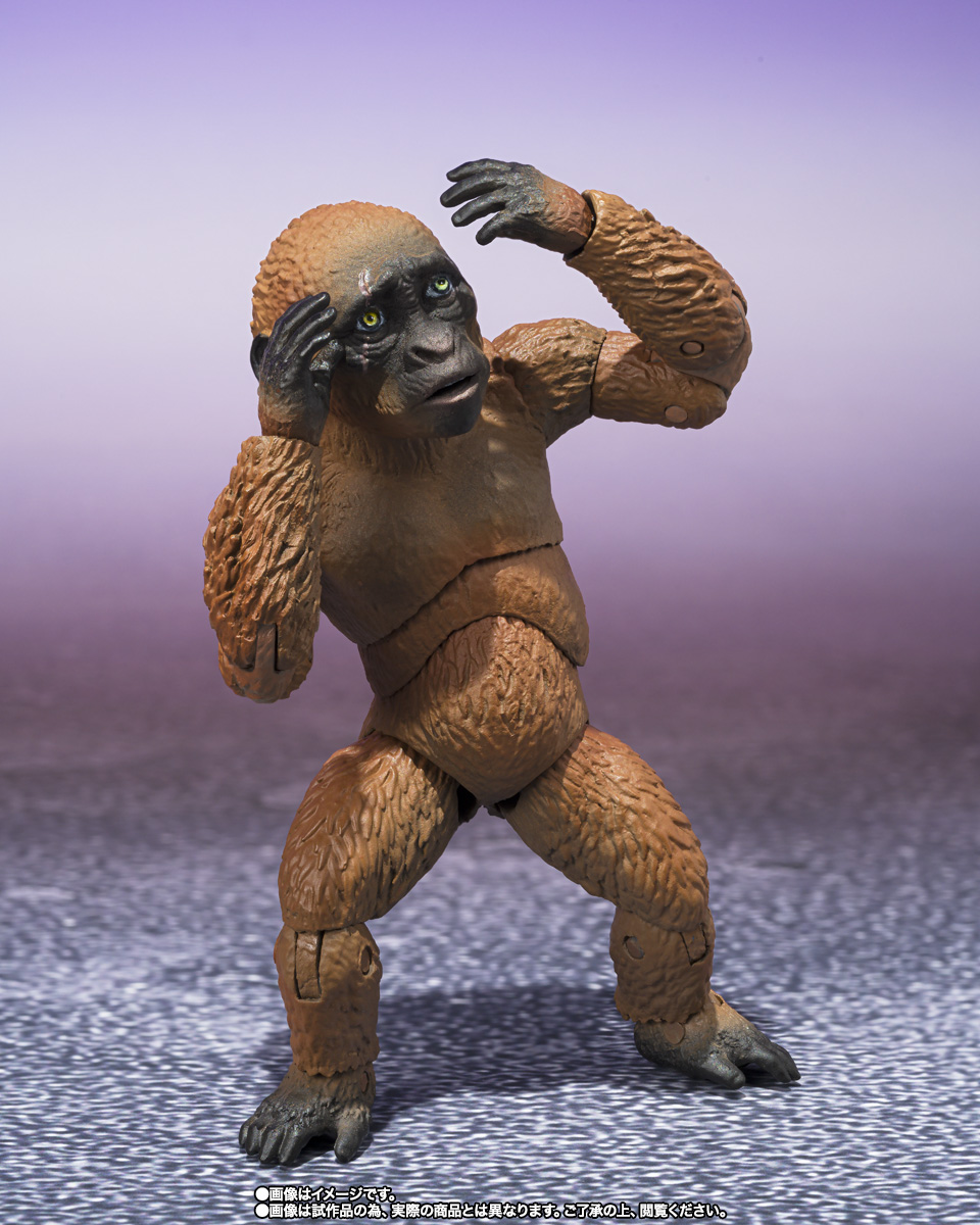 S.H.MonsterArts&nbsp;SUKO & MOTHRA (2024) FROM GODZILLA × KONG: THE NEW EMPIRE