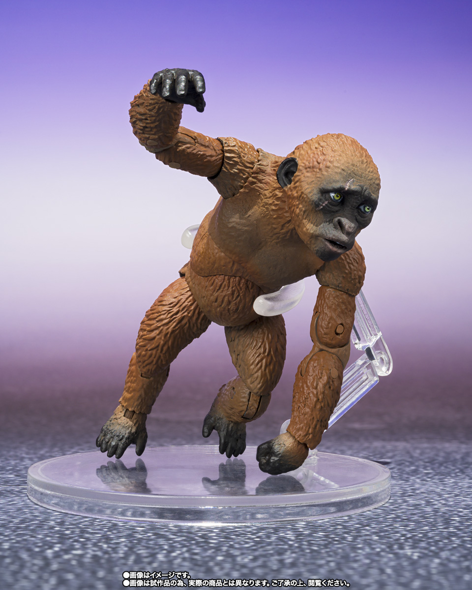 S.H.MonsterArts&nbsp;SUKO & MOTHRA (2024) FROM GODZILLA × KONG: THE NEW EMPIRE