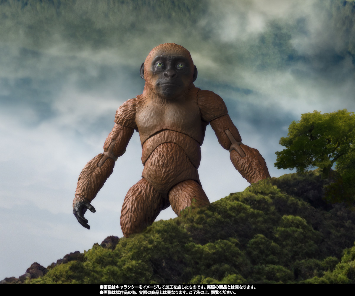 S.H.MonsterArts&nbsp;SUKO & MOTHRA (2024) FROM GODZILLA × KONG: THE NEW EMPIRE