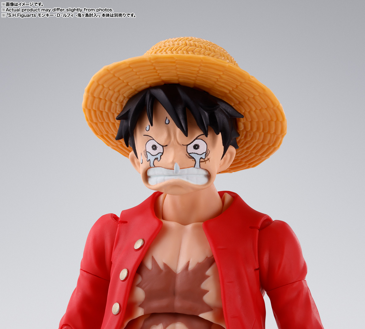 S.H.Figuarts サボ -革命軍参謀総長-
