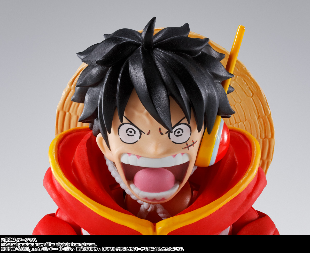 S.H.Figuarts モンキー・D・ルフィ -未来島エッグヘッド-