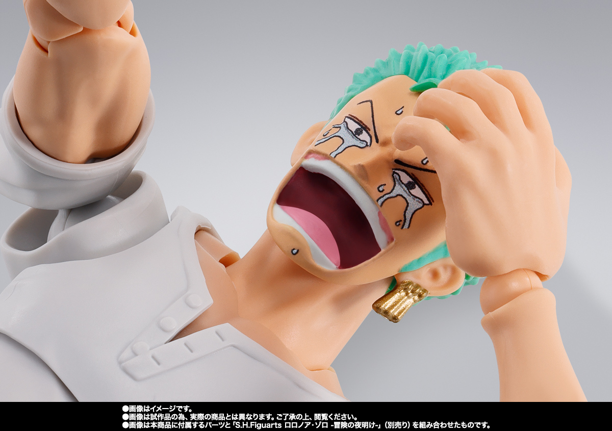 S.H.Figuarts ジュラキュール・ミホーク -鷹の目-