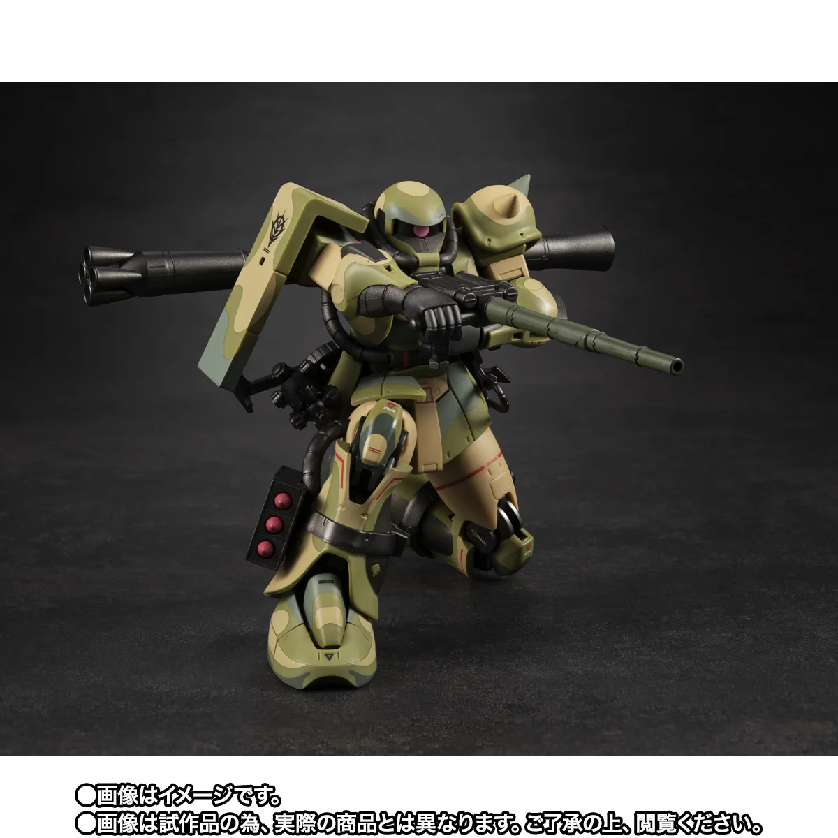 ROBOT魂 <SIDE MS> MS-06J 湿地帯戦用ザク ver. A.N.I.M.E. ~MS MUSEUM~