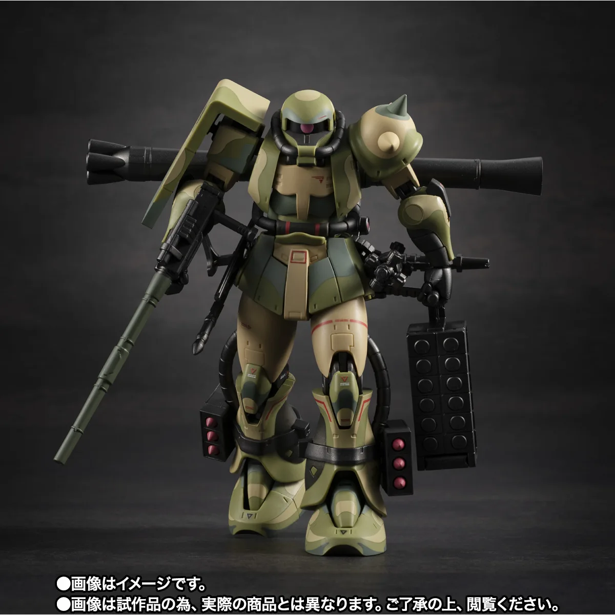 ROBOT魂 <SIDE MS> MS-06J 湿地帯戦用ザク ver. A.N.I.M.E. ~MS MUSEUM~