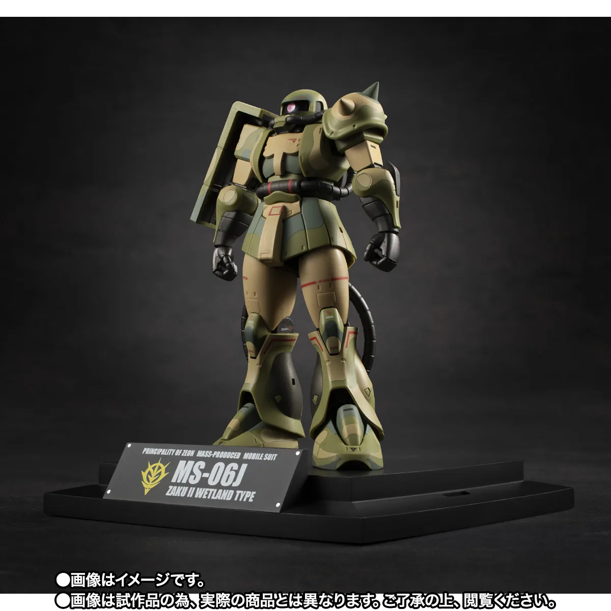 ROBOT魂 <SIDE MS> MS-06J 湿地帯戦用ザク ver. A.N.I.M.E. ~MS MUSEUM~