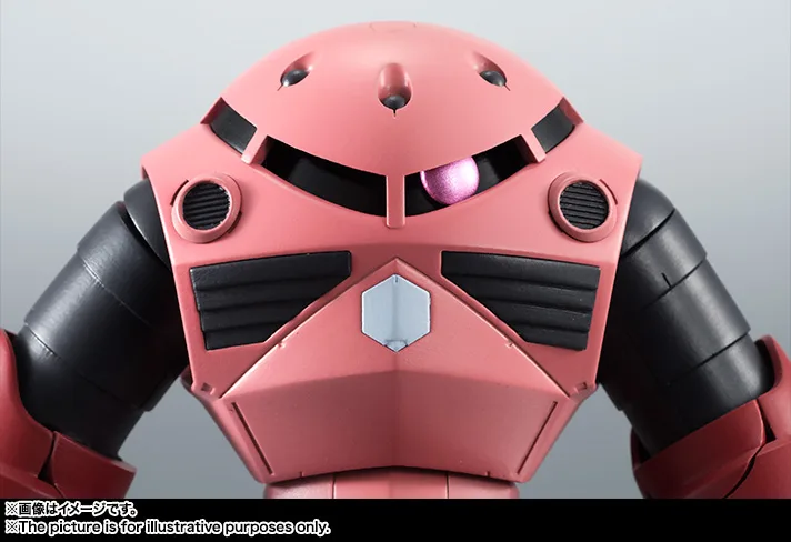 ROBOT魂 <SIDE MS> MSM-07S シャア専用ズゴック ver. A.N.I.M.E.