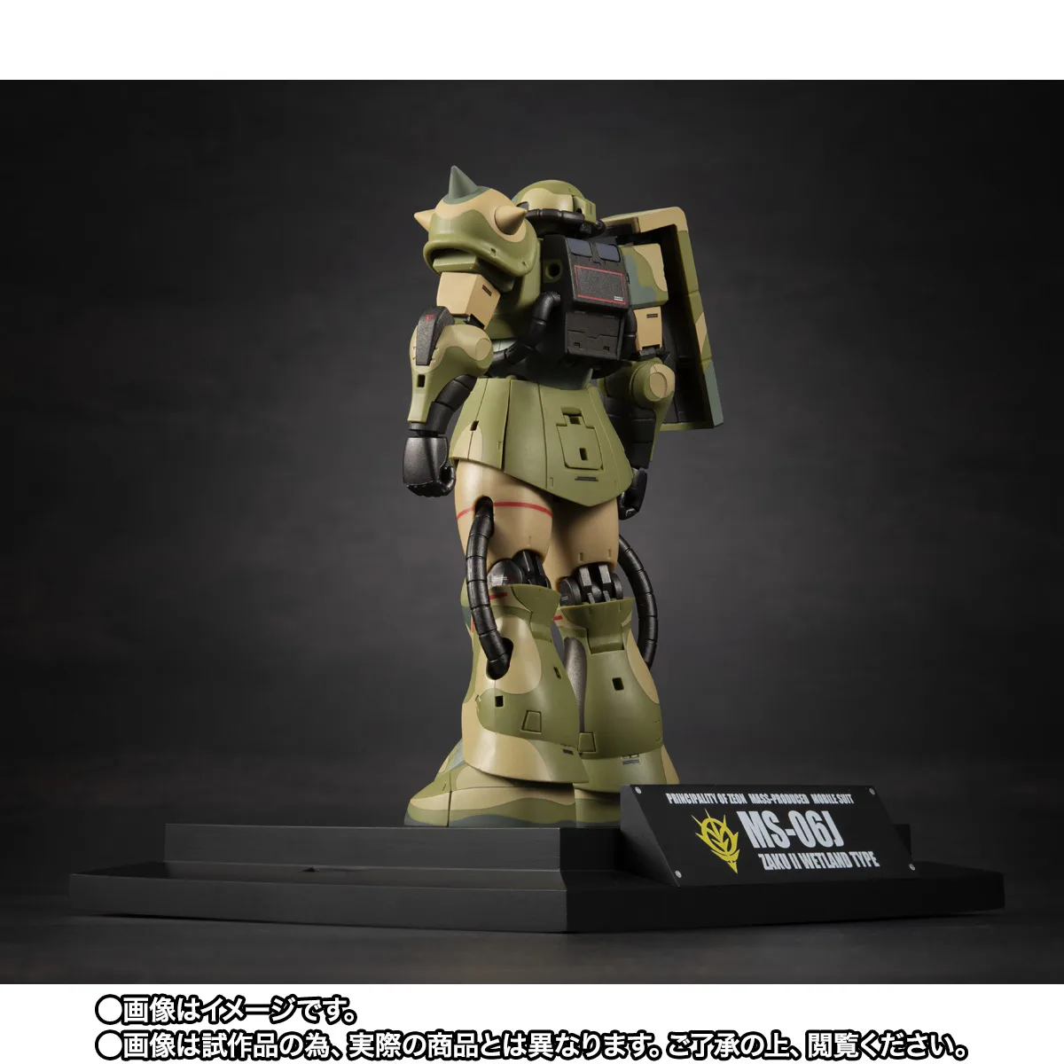 ROBOT魂 <SIDE MS> MS-06J 湿地帯戦用ザク ver. A.N.I.M.E. ~MS MUSEUM~