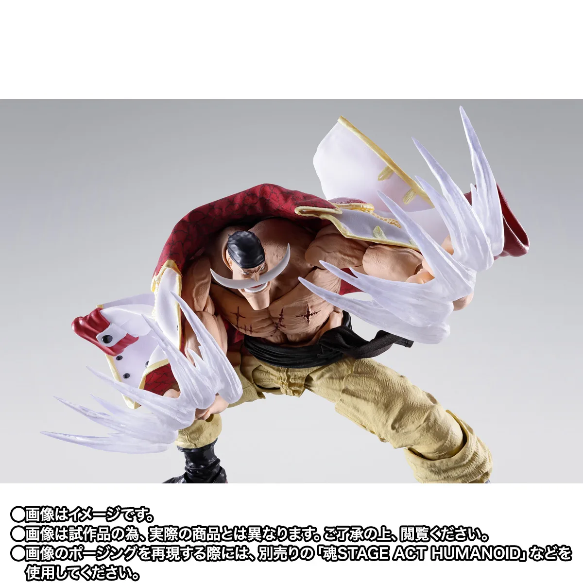 S.H.Figuarts 【抽選販売】エドワード・ニューゲート(白ひげ) -マリンフォード頂上決戦-【2次:2027年7月発送分】