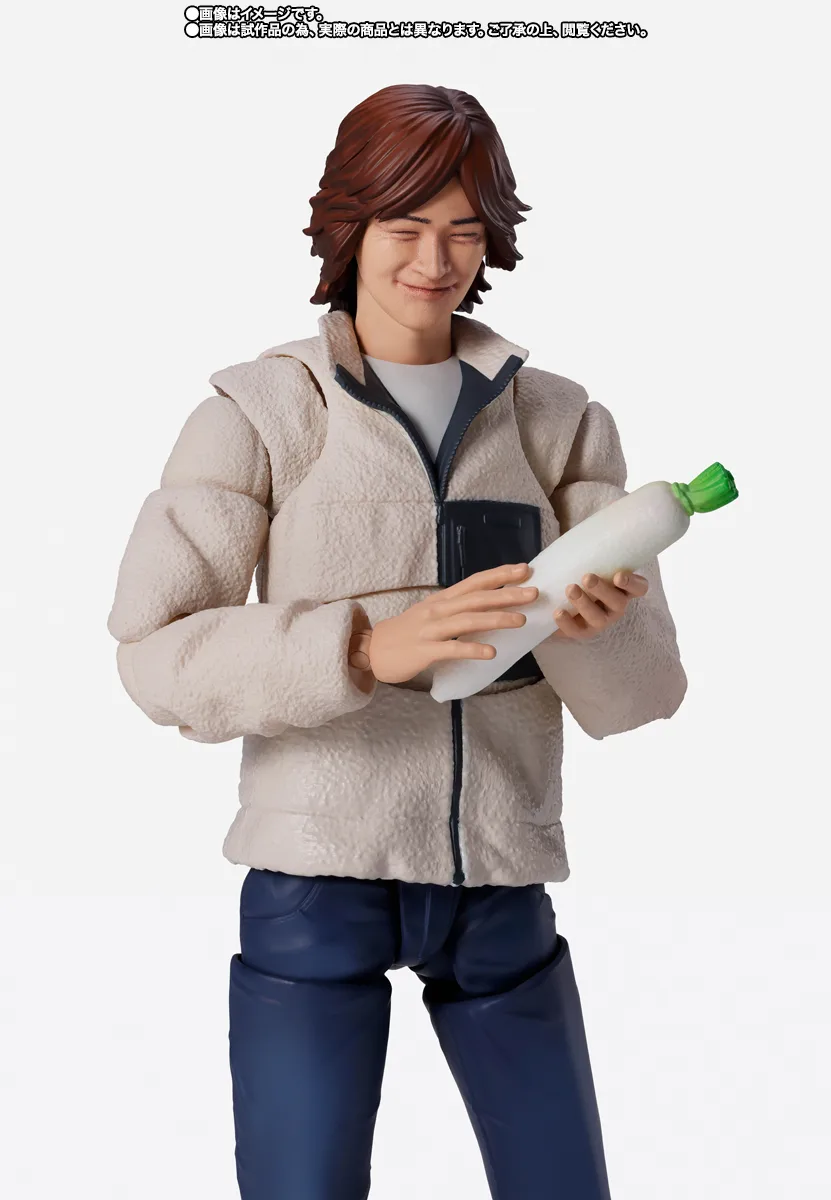 S.H.Figuarts 津上翔一