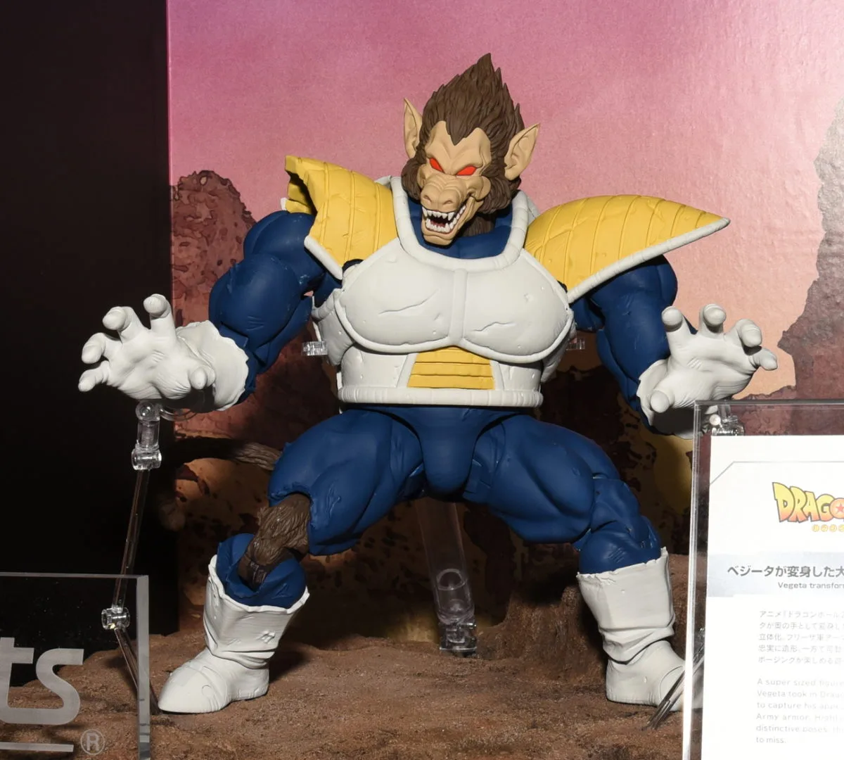 S.H.Figuarts 大猿ベジータ／参考展示
©バードスタジオ／集英社･東映アニメーション