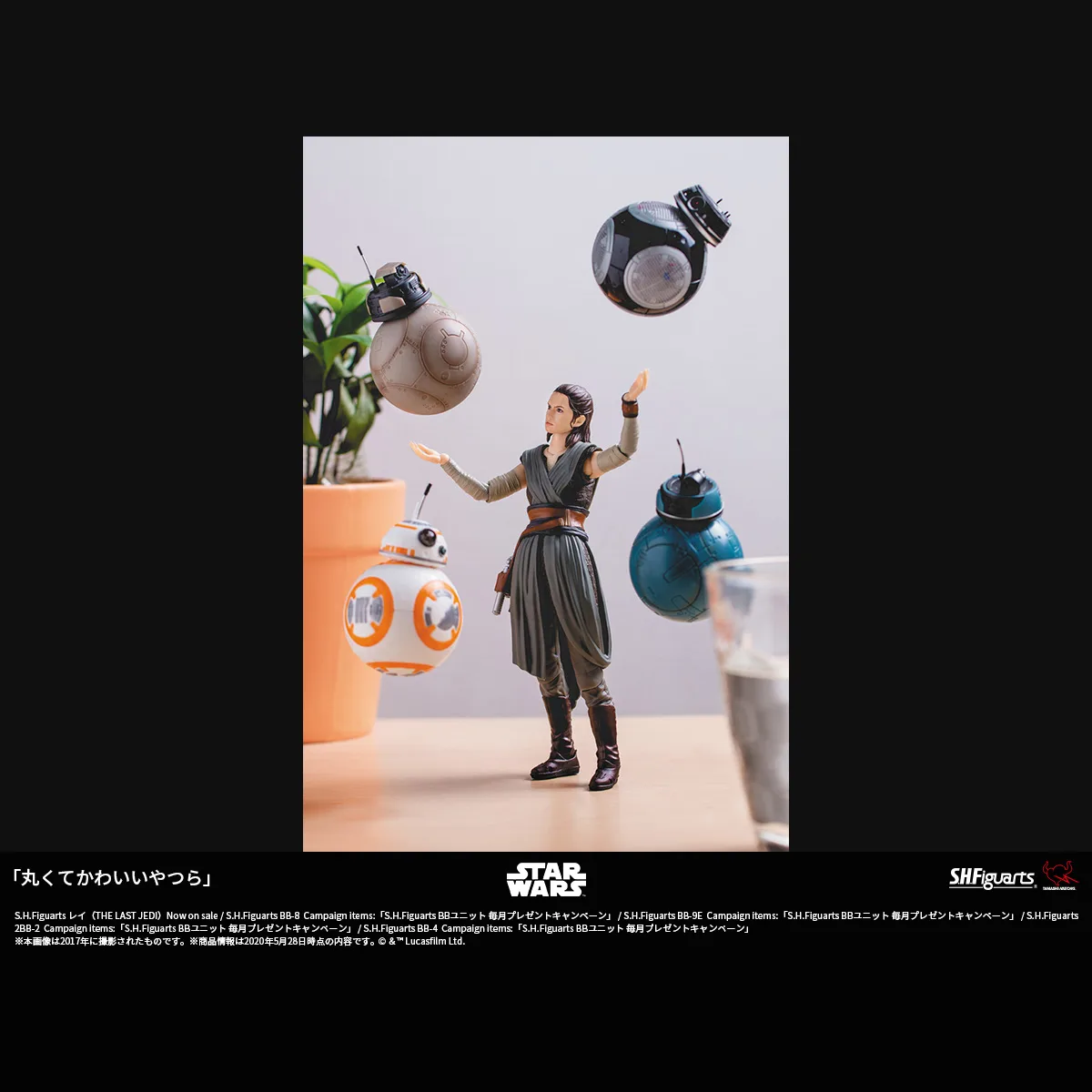 「丸くてかわいいやつら」
Photo by <a href="https://x.com/hotkenobi" target="_blank">ホットケノービ</a>