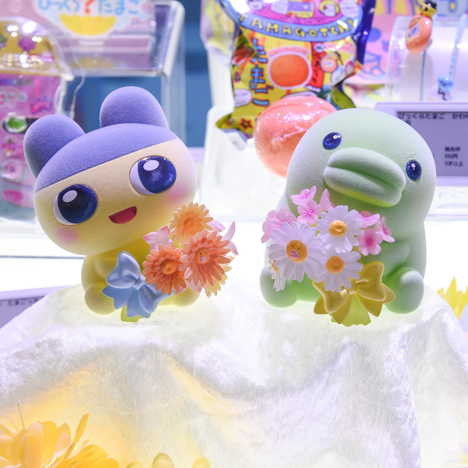 mofamofy まめっち
mofamofy くちぱっち