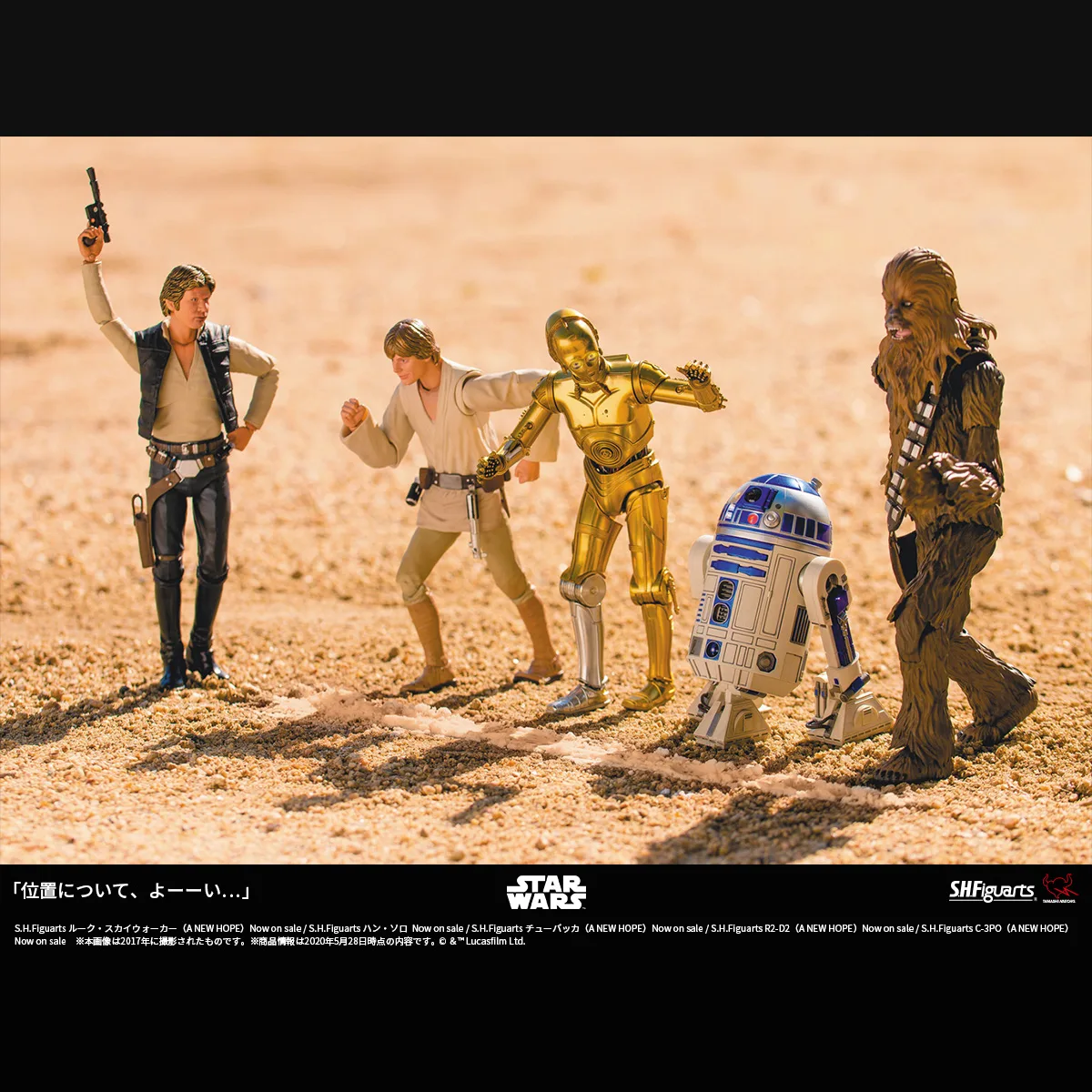 「位置について、よーーい&hellip;」
Photo by <a href="https://x.com/hotkenobi" target="_blank">ホットケノービ</a>