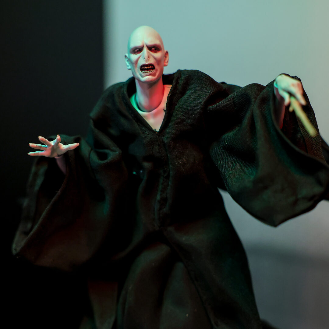 S.H.Figuarts ヴォルデモート卿(ハリー・ポッターと炎のゴブレット) 参考展示