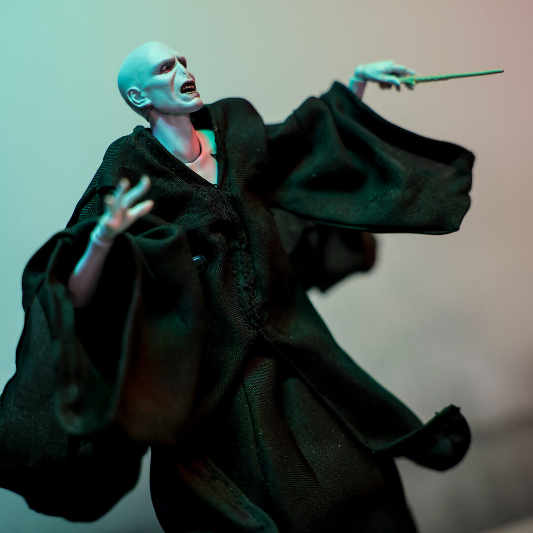 S.H.Figuarts ヴォルデモート卿(ハリー・ポッターと炎のゴブレット) 参考展示