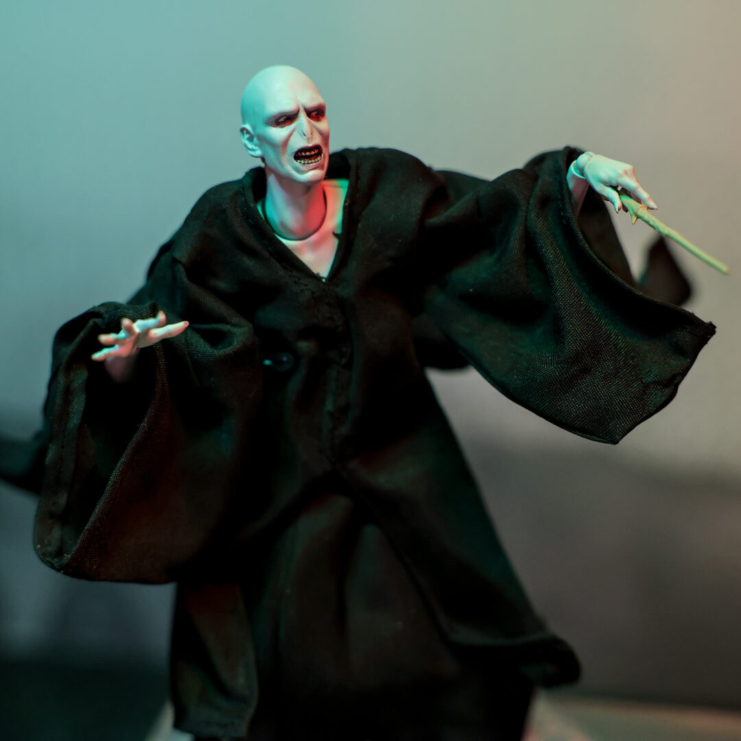 S.H.Figuarts ヴォルデモート卿(ハリー・ポッターと炎のゴブレット) 参考展示
