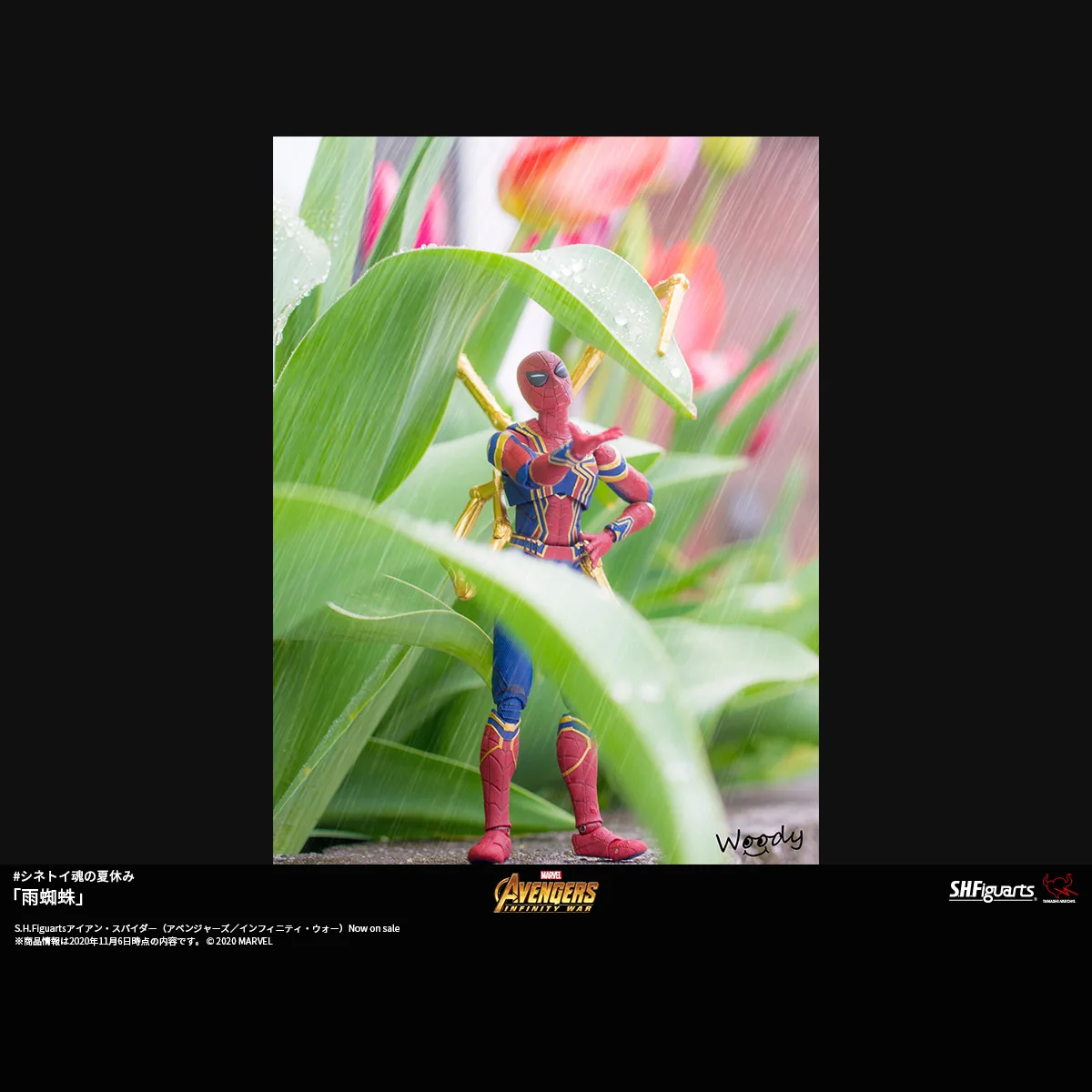 「雨蜘蛛」
#シネトイ魂の夏休み
Photo by <a href="https://x.com/woody_wars" target="_blank">Woody</a>