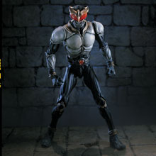 【未使用】S.I.C MASKED RIDER KUUGA VOL.13 S.I.C MASKED RIDER KUUGA VOL.13 フィギュア Toy Review: S.I.C.
