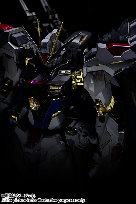 METAL BUILD ストライクフリーダムガンダム | 商品一覧 | 魂ウェブ
