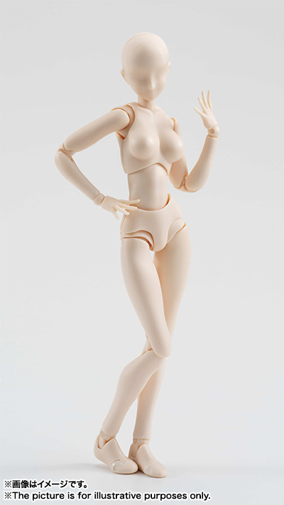 S.H.Figuarts ボディちゃん （Pale orange Color Ver.） | 商品一覧