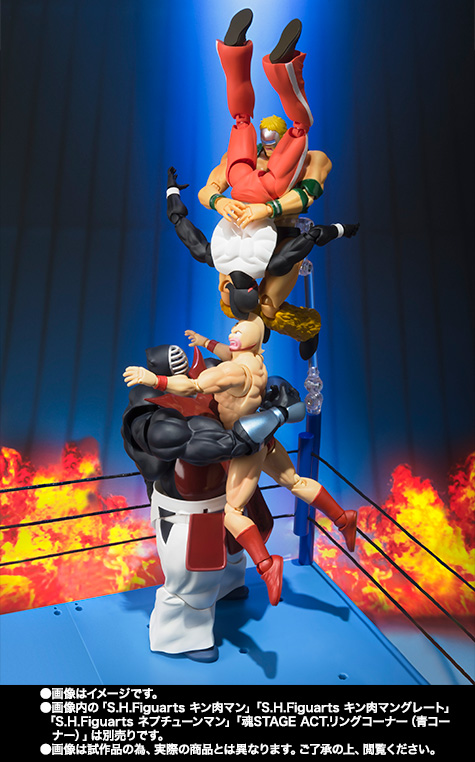 S.H.Figuarts ビッグ・ザ・武道 | 商品一覧 | 魂ウェブ