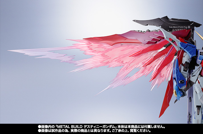METAL BUILD デスティニーガンダム 光の翼オプションセット【2次：2016