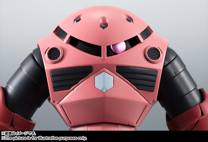 ROBOT魂 <SIDE MS> MSM-07S シャア専用ズゴック ver. A.N.I.M.E.