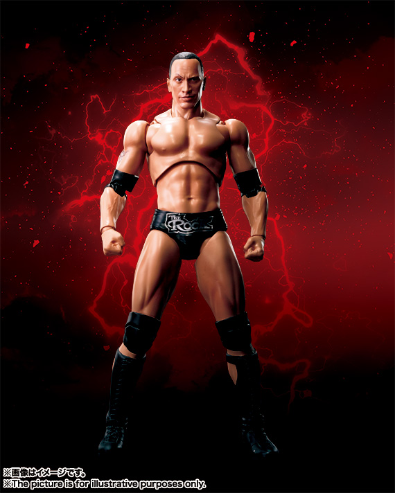 WWE THE ROCK フィギュア(直筆サイン付き？) WWE Wrestling Signature Series 2012 The Rock Action Figure Mattel