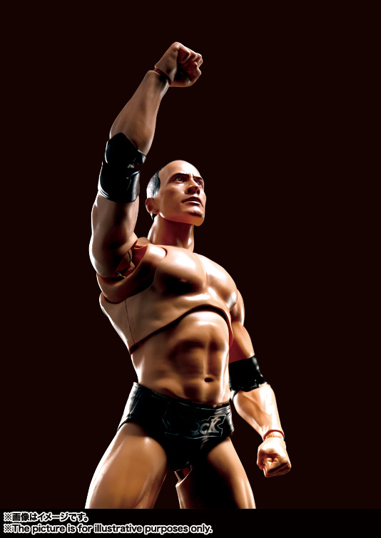 S.H.Figuarts The Rock | 商品一覧 | 魂ウェブ