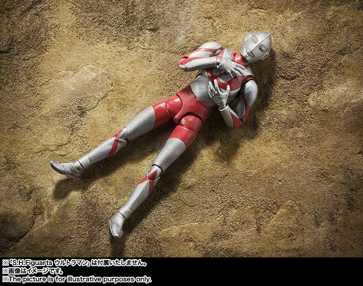 S.H.Figuarts ゾフィー | 商品一覧 | 魂ウェブ