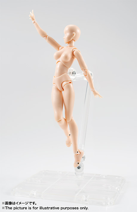 S.H.Figuarts ボディちゃん DX SET（Pale orange Color Ver.） | 商品