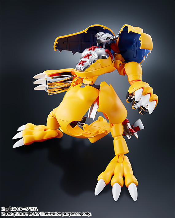 超進化魂 01 ウォーグレイモン | 商品一覧 | 魂ウェブ