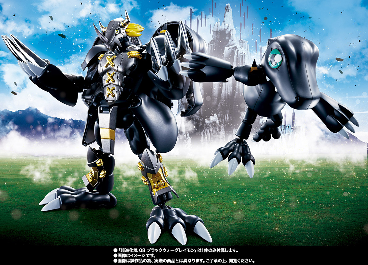 超進化魂 08 ブラックウォーグレイモン | 商品一覧 | 魂ウェブ