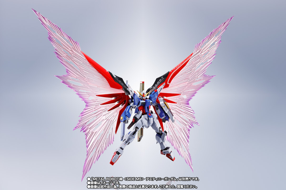 METAL ROBOT魂 ＜SIDE MS＞ デスティニーガンダム専用光の翼