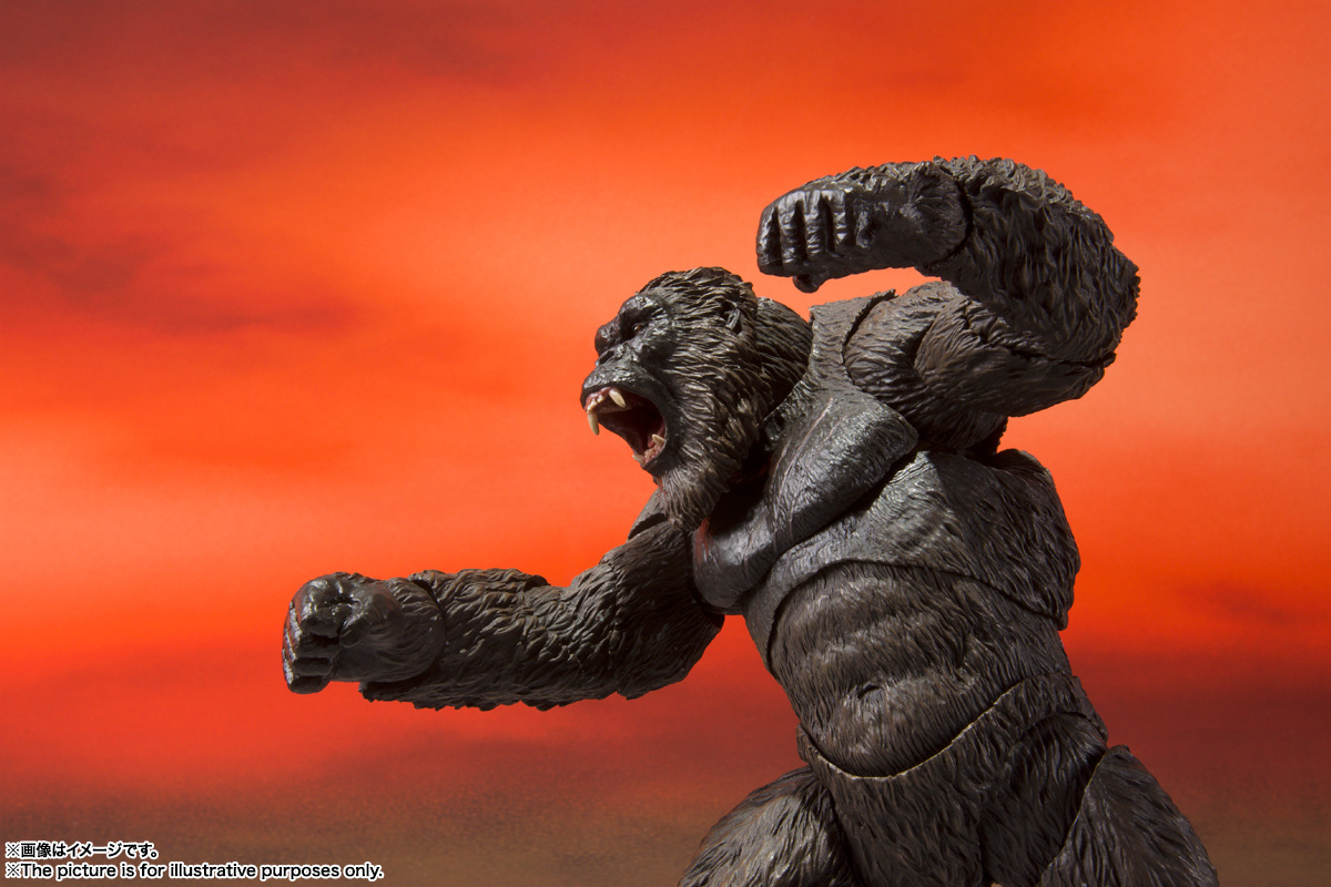 S.H.MonsterArts KONG FROM GODZILLA VS. KONG(2021) | 商品一覧 | 魂