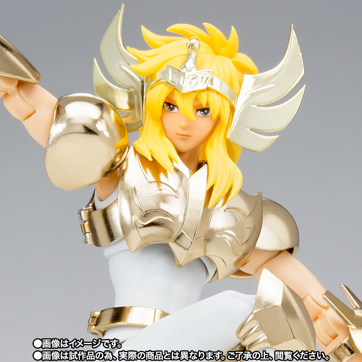 聖闘士聖衣神話EX キグナス氷河 (新生青銅聖衣) ～GOLDEN LIMITED