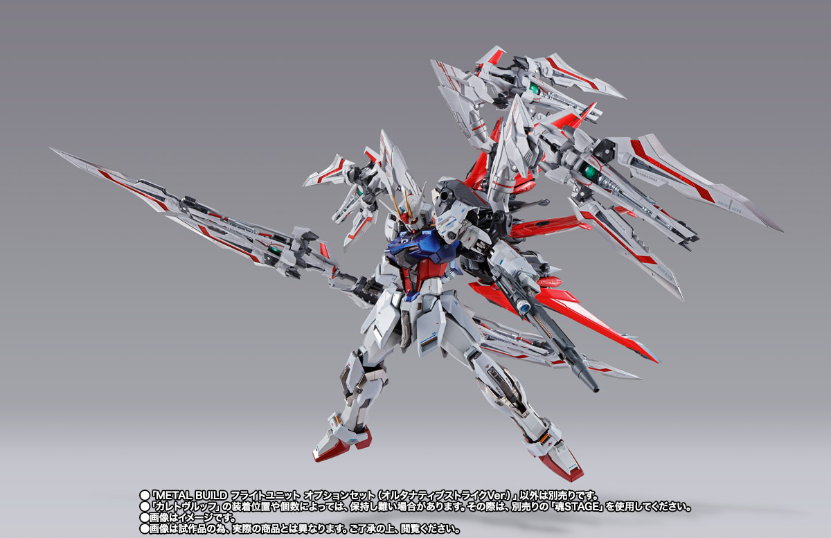 METAL BUILD フライトユニット オプションセット(オルタナティブストライクVer.)【2次:2022年9月発送】