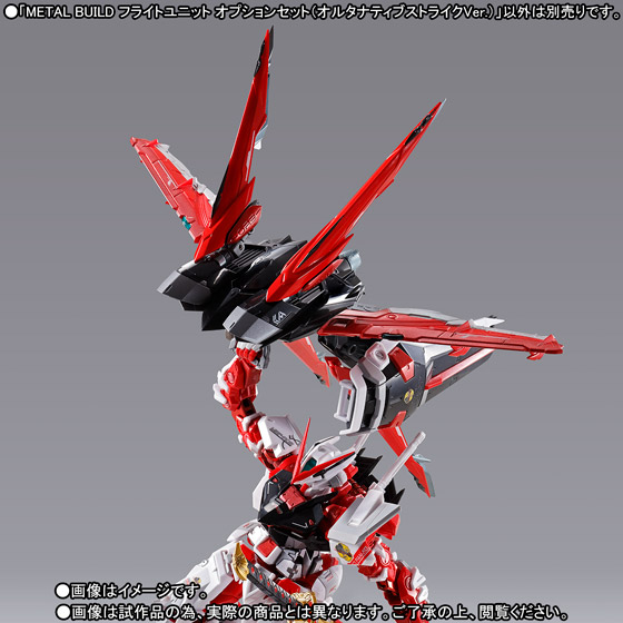 METAL BUILD フライトユニット オプションセット（オルタナティブ