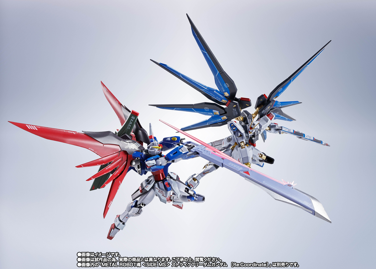 METAL ROBOT魂 ＜SIDE MS＞ デスティニーガンダム ［Re:Coordinate