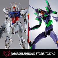 BANDAI - メタルビルド　魂ネイションストア　ストライクガンダム　ヘリオポリス TNST限定「METAL BUILD ストライクガンダム -ヘリオポリス
