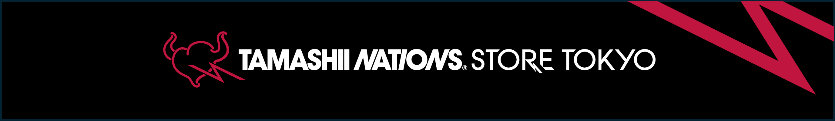 Banner de TNS (pequeño).png
