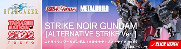 [抽籤販售] METAL BUILD STRIKE NOIR強襲黑色鋼彈 (Alternative Strike Ver.) (售後)