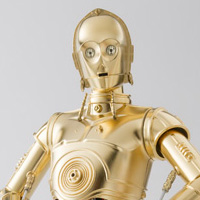 12”PM C-3PO