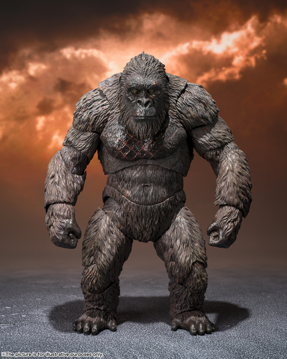 Godzilla vs Kong（2021) フィギュア S.H.MonsterArts （エス・エイチ・モンスターアーツ）KONG FROM GODZILLA VS. KONG (2021) -Exclusive Edition-