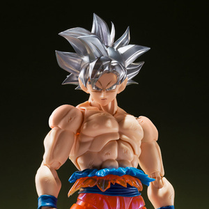 孫悟空 身勝手の極意-限界超絶突破!-