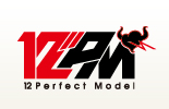 12 Perfect Model